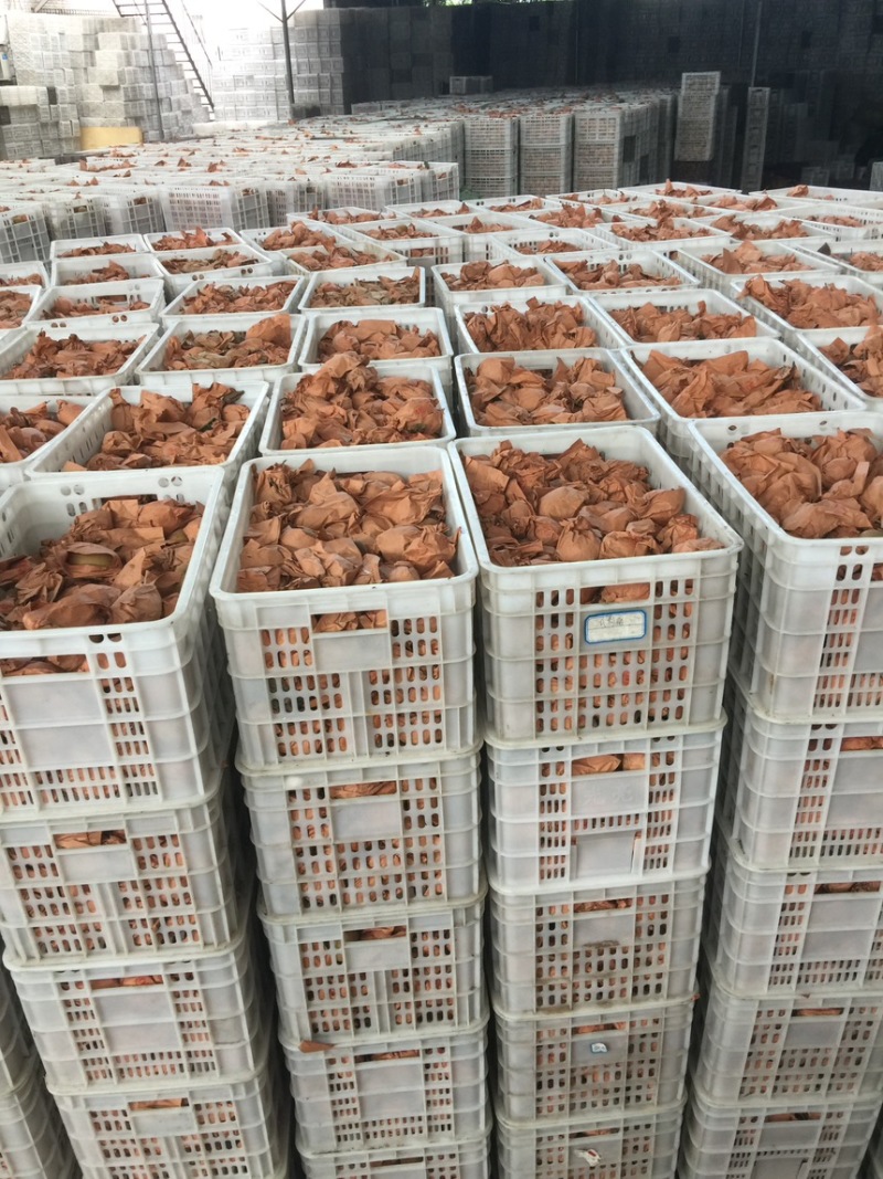四川浦江黄心金艳猕猴桃新品上市支持一件代发整车发货