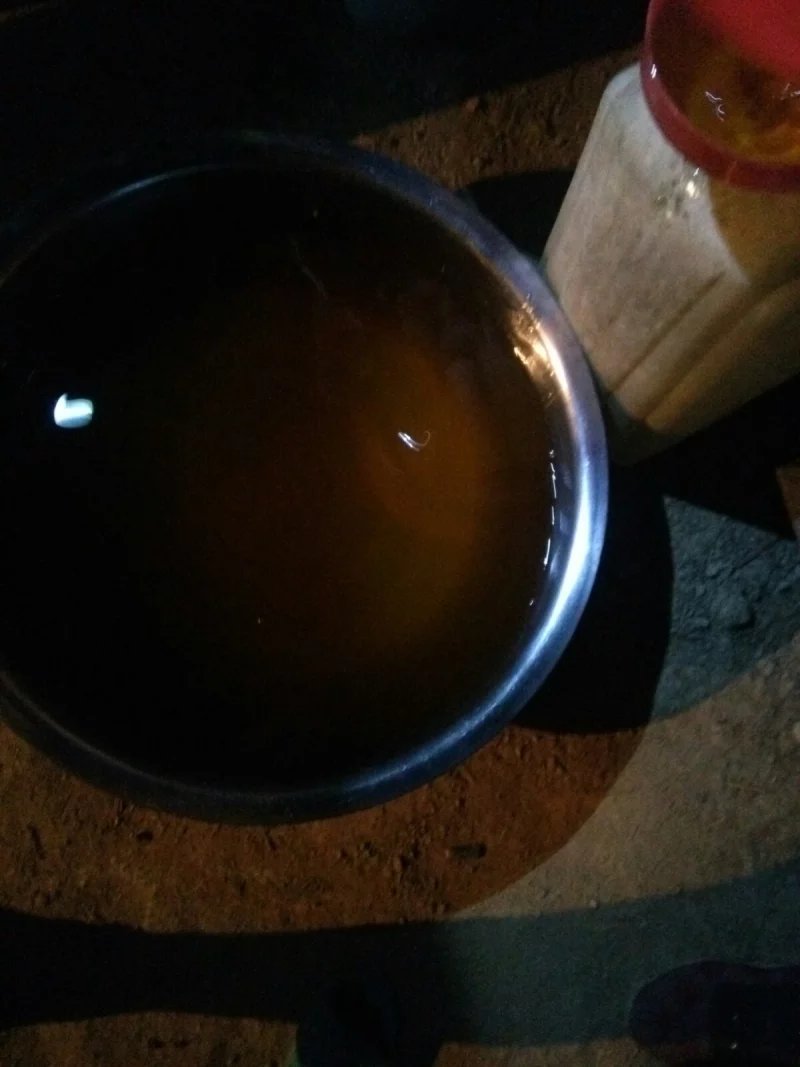 广西百色市山茶籽油