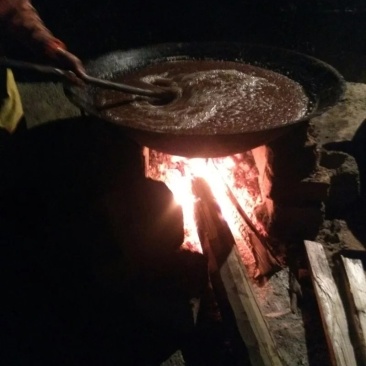 广西百色市山茶籽油