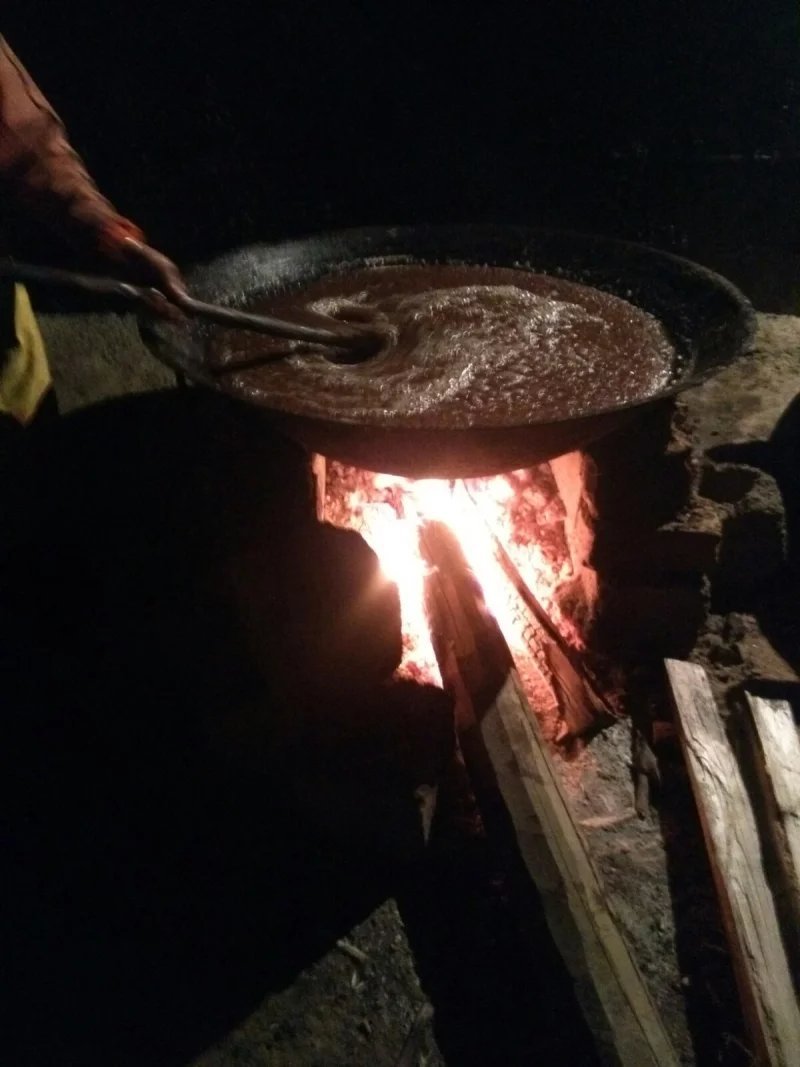 广西百色市山茶籽油