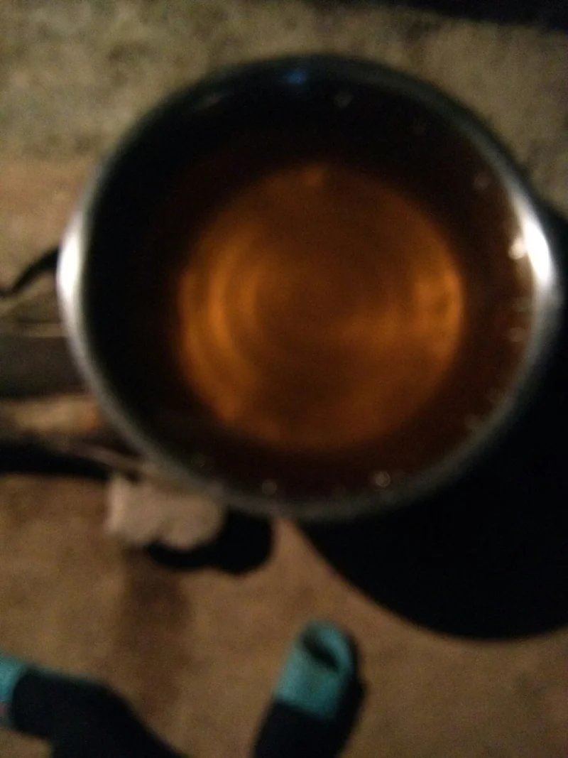 广西百色市山茶籽油