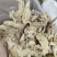当归片头片一公斤起卖十公斤包邮可以帮抓药单