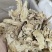 当归片头片一公斤起卖十公斤包邮可以帮抓药单