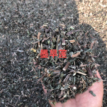 墨旱莲，本人常年大量供应一手货源。质量有保证。