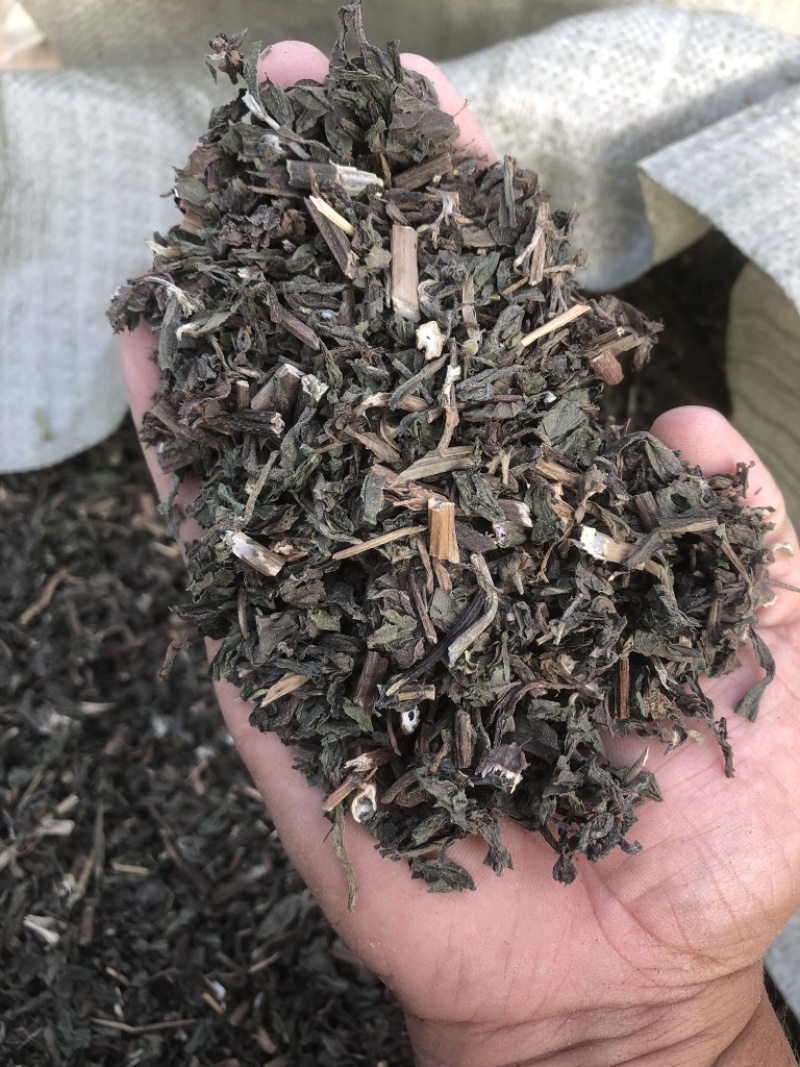 墨旱莲，本人常年大量供应一手货源。质量有保证。