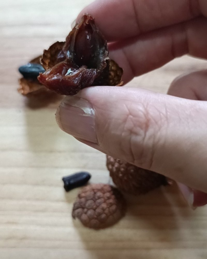 广西荔枝干