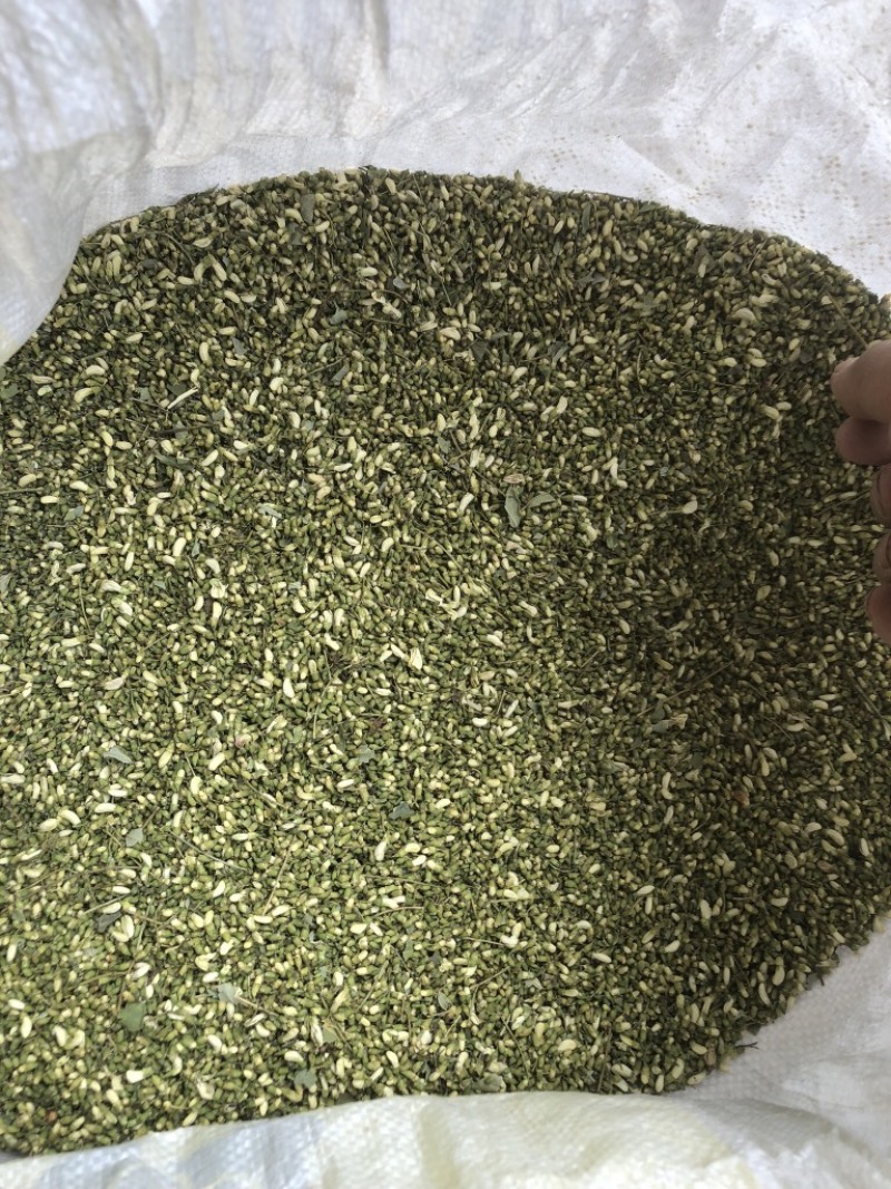 槐米，过完风机东西不错。稍微有点发黑。不影响质量。