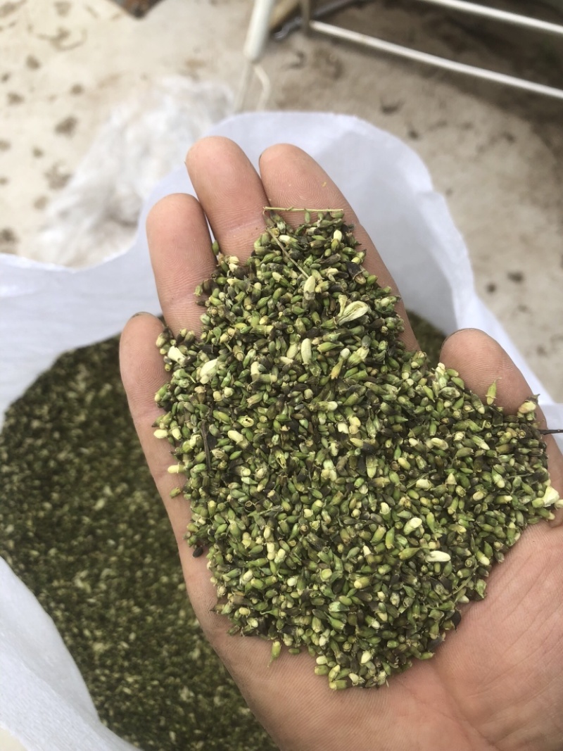 槐米，过完风机东西不错。稍微有点发黑。不影响质量。