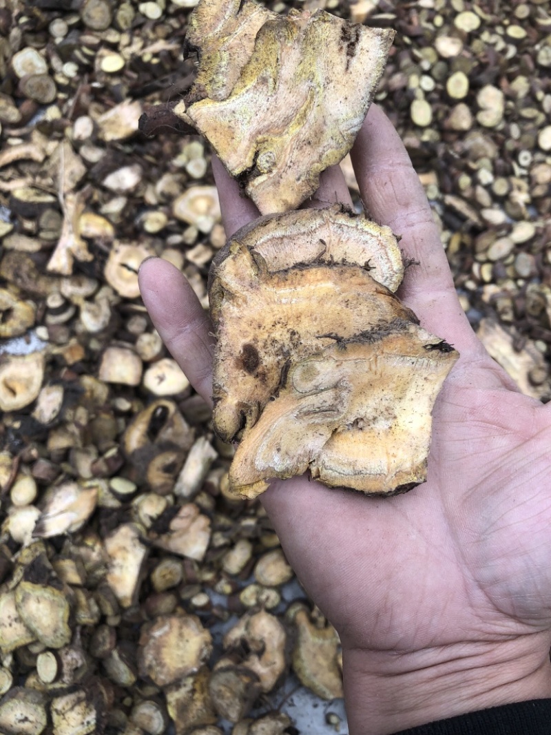 土大黄，都是通货。但是都是过完筛子东西质量是有保证的。