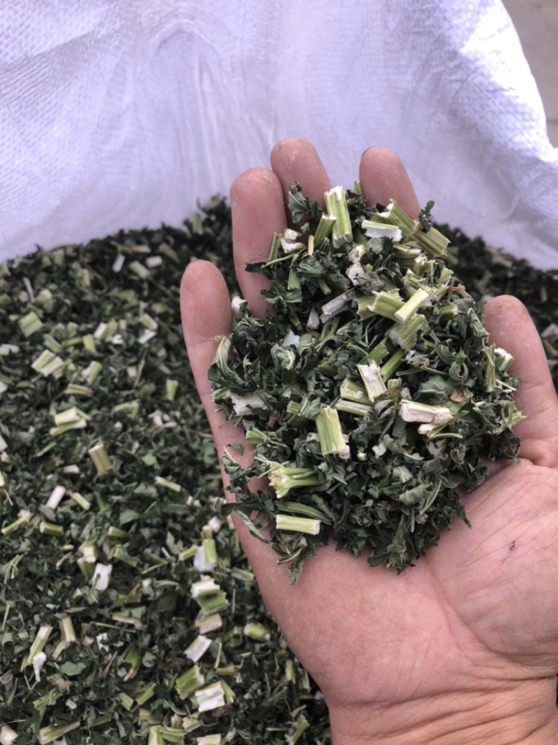 益母草，刀功切得非常好。可以从视频看一下。
