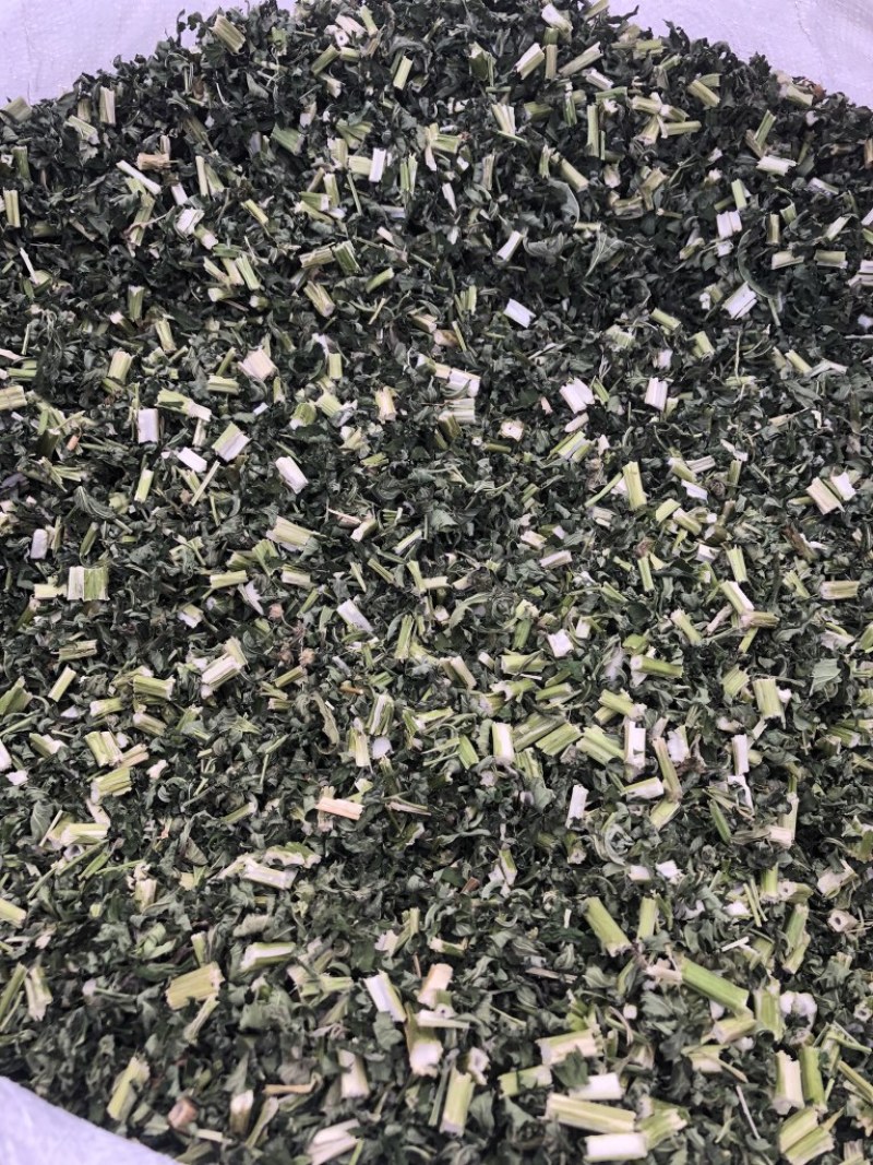 益母草，刀功切得非常好。可以从视频看一下。