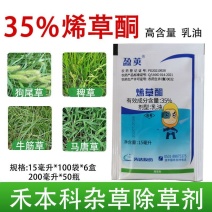 35%烯草酮山东先达牛筋草一年生禾本科杂草油菜大豆花生用