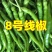 广西精品8号线椒，螺丝线椒3号产地直发价格真实，欢迎选购