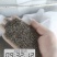 正品太子参种子药材四叶参种籽四季播种阳台盆栽孩儿童参