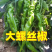 精品大螺丝椒，笼椒产地直供新鲜采摘品质保证