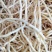 新鲜上市鱼腥草。货好量大。可以长期供应。