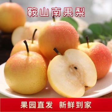 南果梨，梨产地直发一手货源对接各种商超