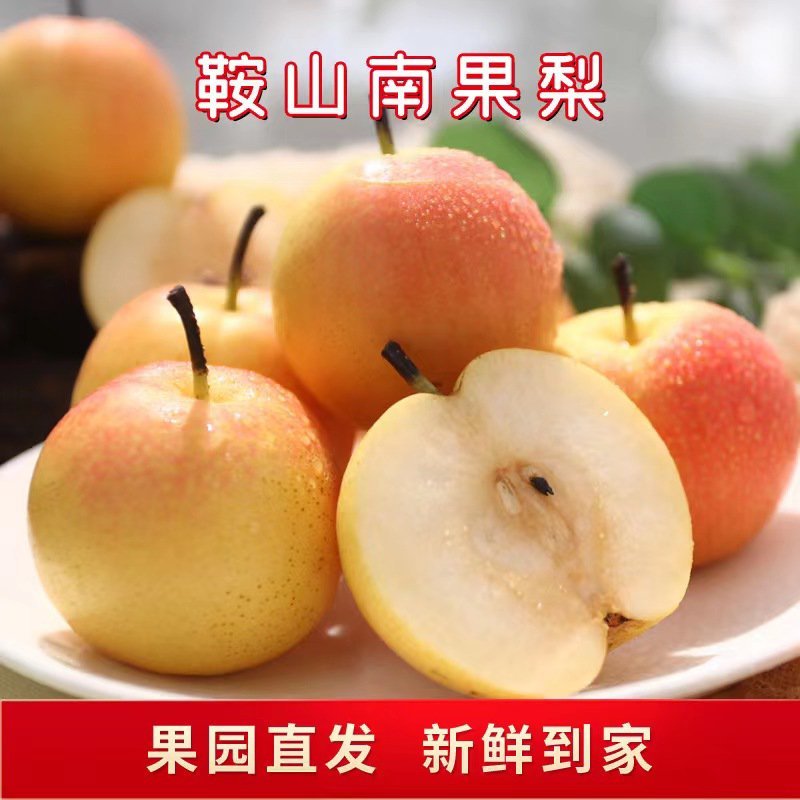 南果梨，梨产地直发一手货源对接各种商超