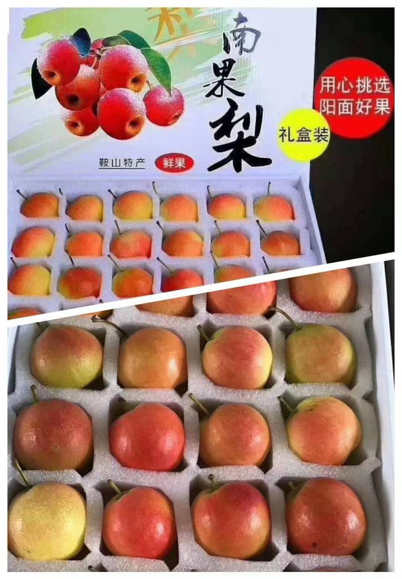 南果梨，梨产地直发一手货源对接各种商超
