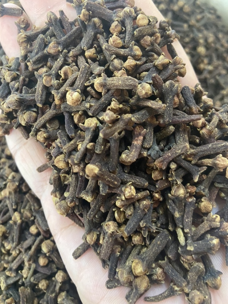 丁香公丁香雄丁香火锅料卤料