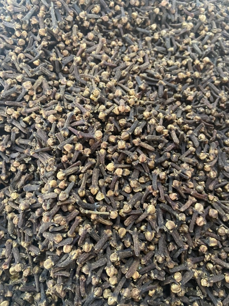 丁香公丁香雄丁香火锅料卤料