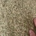 小茴香