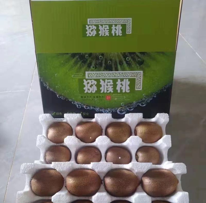 陕西周至真翠香猕猴桃现货产地种植园接直播团购微商一件代发