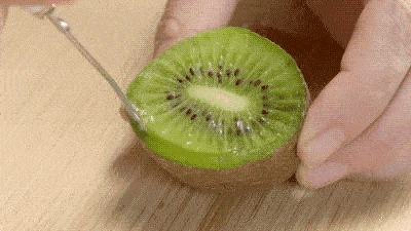 陕西周至真翠香猕猴桃现货产地种植园接直播团购微商一件代发