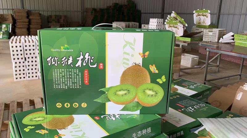 陕西周至真翠香猕猴桃现货产地种植园接直播团购微商一件代发