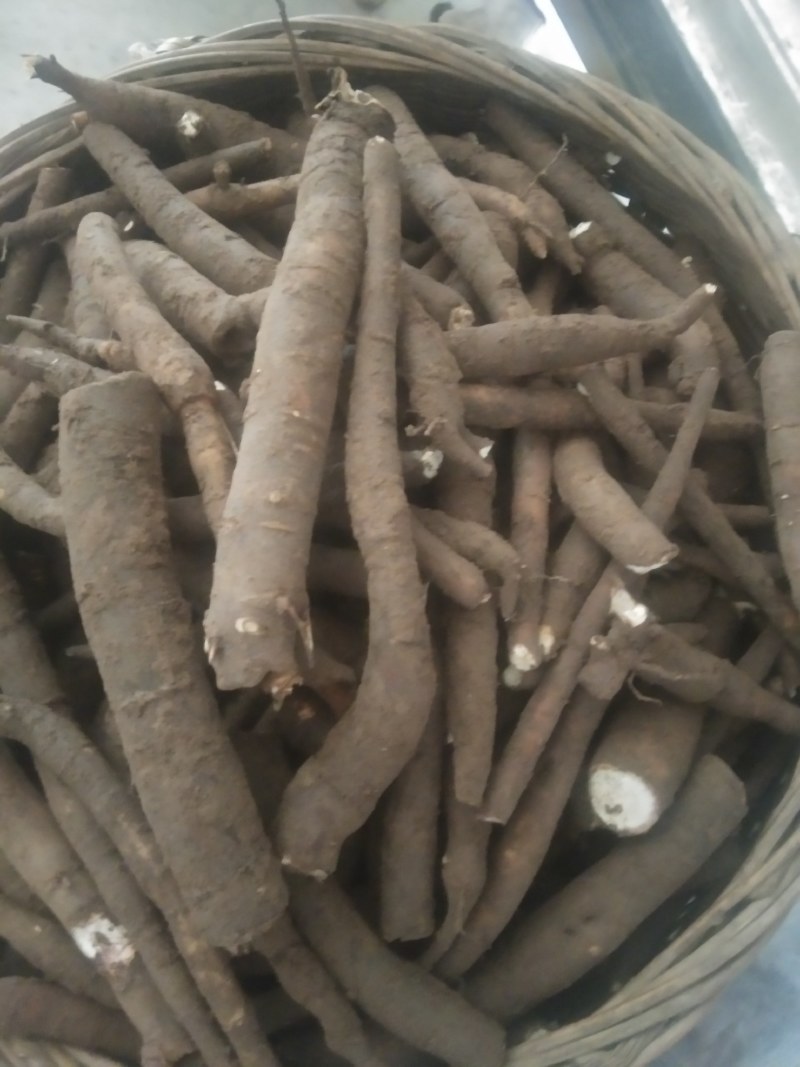 出售鲜芍药根