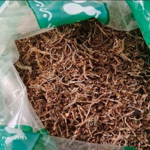 垂盆草干货垂盆草中药材欢迎选购！