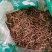 垂盆草干货垂盆草中药材欢迎选购！