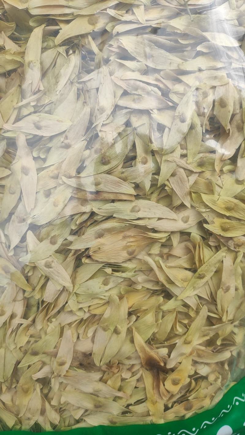 凤眼草