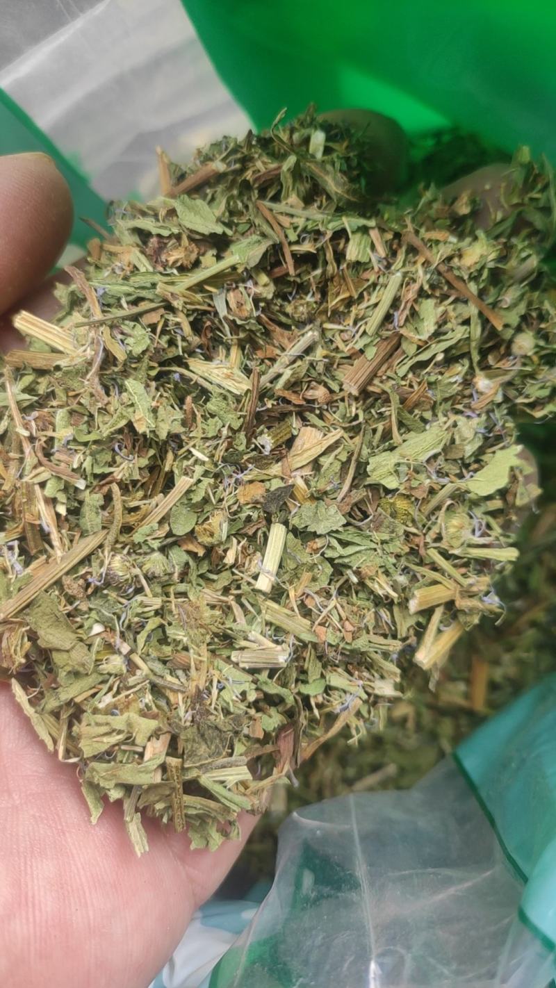 灯盏细辛干货切段中药材欢迎选购！