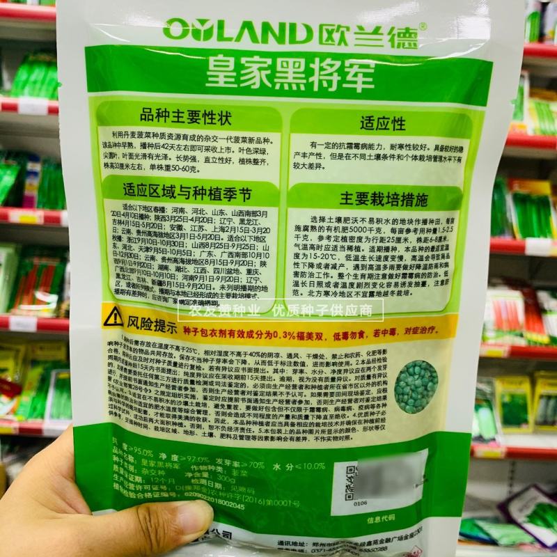 欧兰德黑将军杂交一代菠菜种子尖圆叶菠菜籽叶色深绿直立性好