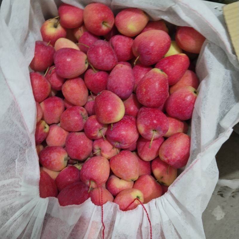 鸡心果