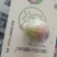 山西一手货隰县特产玉露香梨货量充足质量保证视频看货