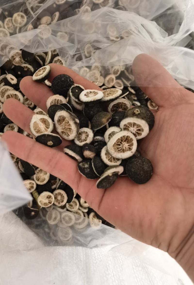 积壳切片