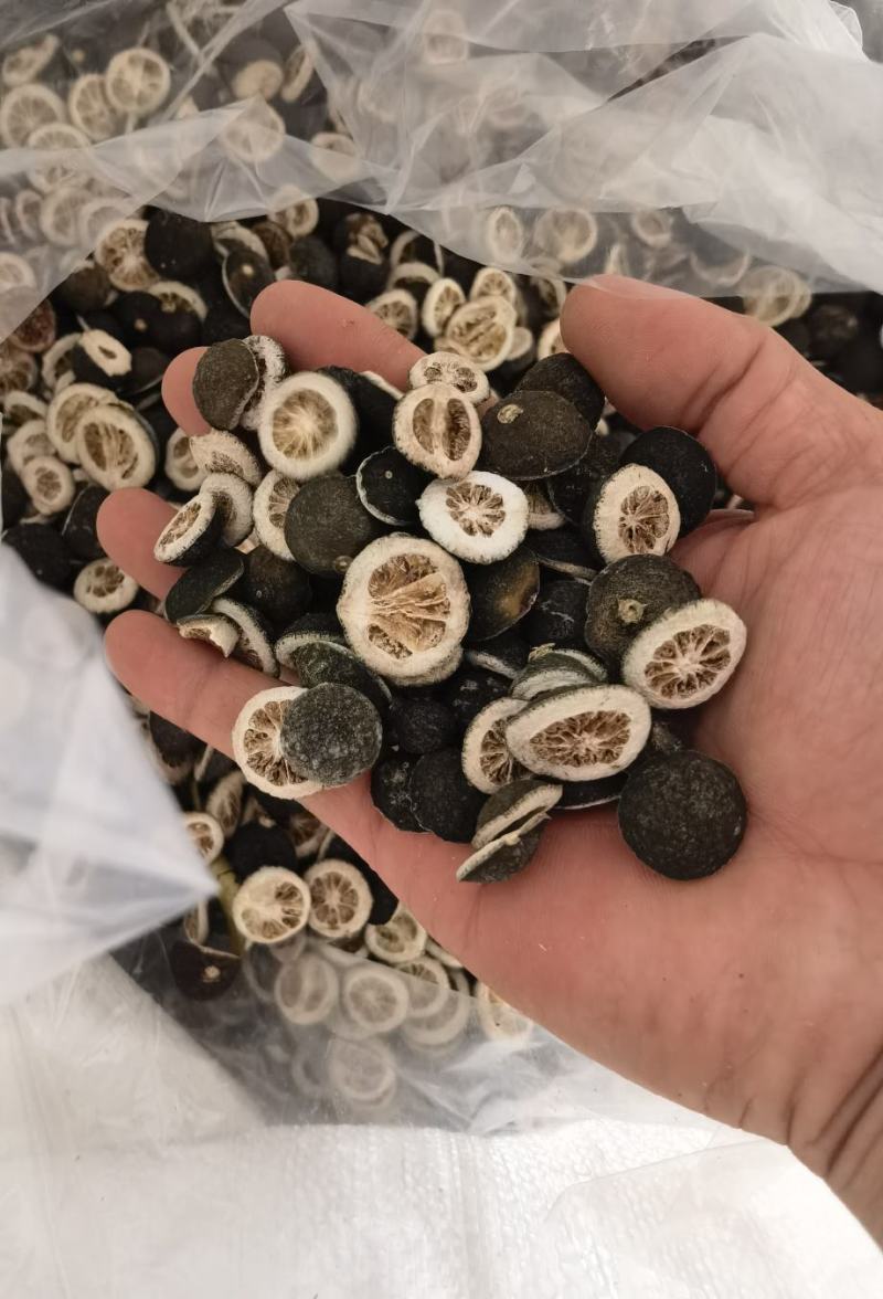 积壳切片
