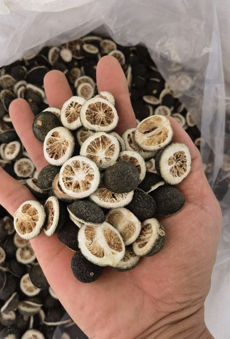 积壳切片