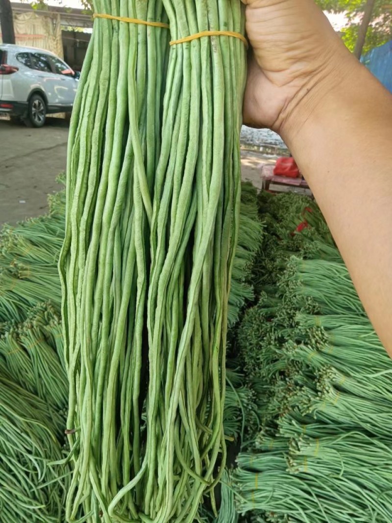 精品青条豆角长豆角对接烘干加工厂腌制厂家保质量