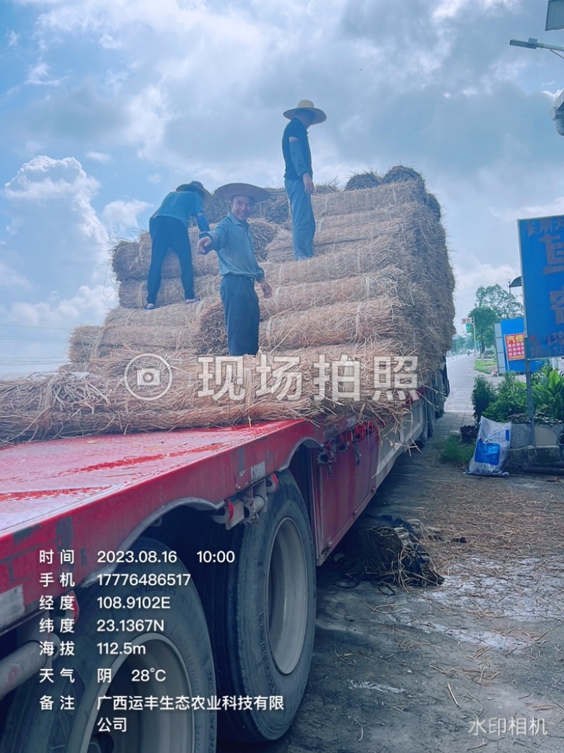草帘