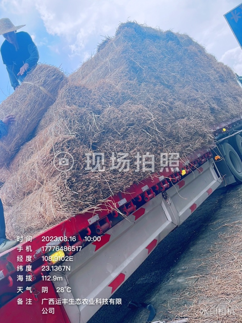 草帘
