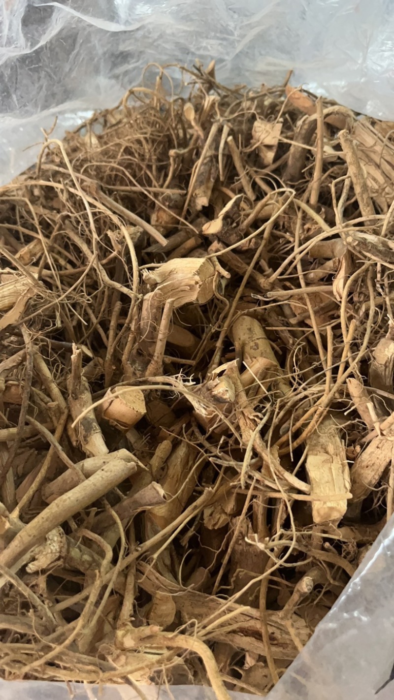 白花牛奶根