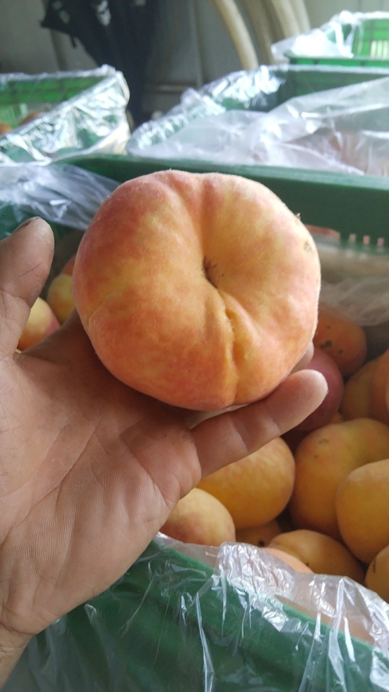 出售扁蟠桃一块二一斤大量有货货源充足