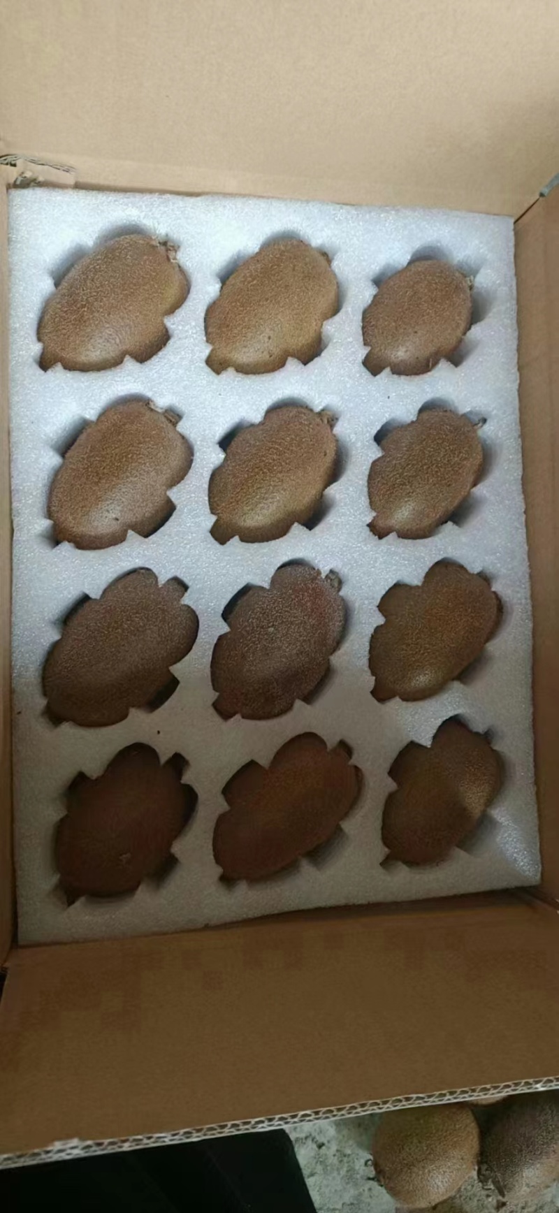 周至翠香猕猴桃，精品果纯甜汁水多，支持一件代发