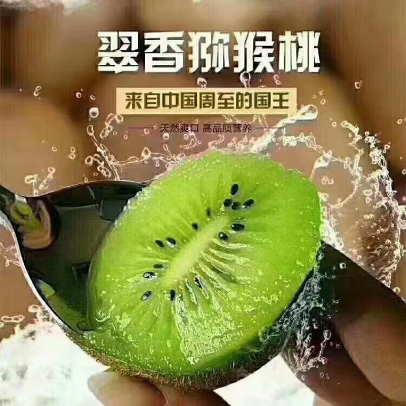 周至翠香猕猴桃，精品果纯甜汁水多，支持一件代发