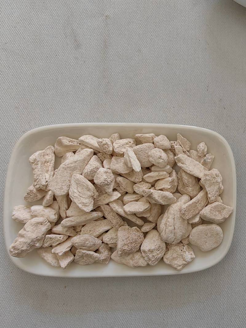 龙骨龙骨龙骨粒批发各种规格中药材