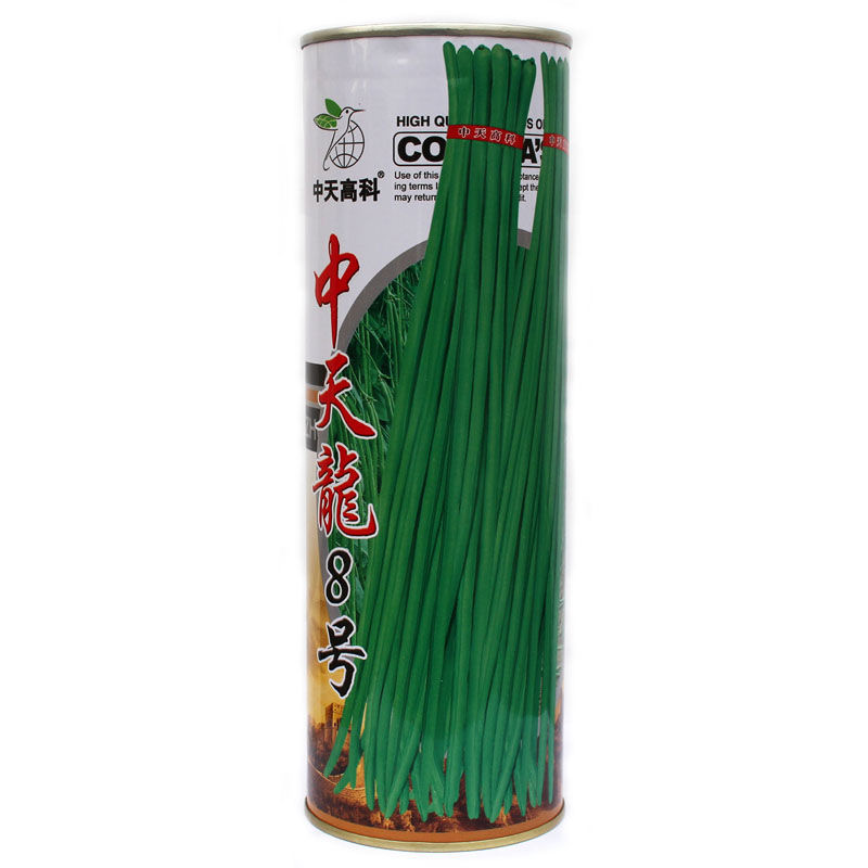 中天龙8号豆角种子长1斤一桶