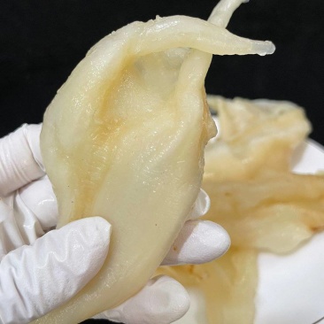 鱼胶花胶10头北海阴阳鱼胶深海滋补海味干货孕期产后恢复